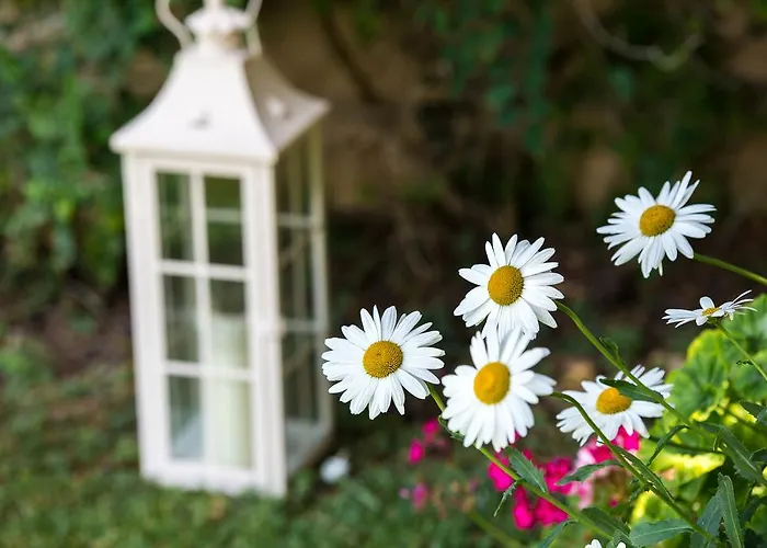 Gialou Appartement *